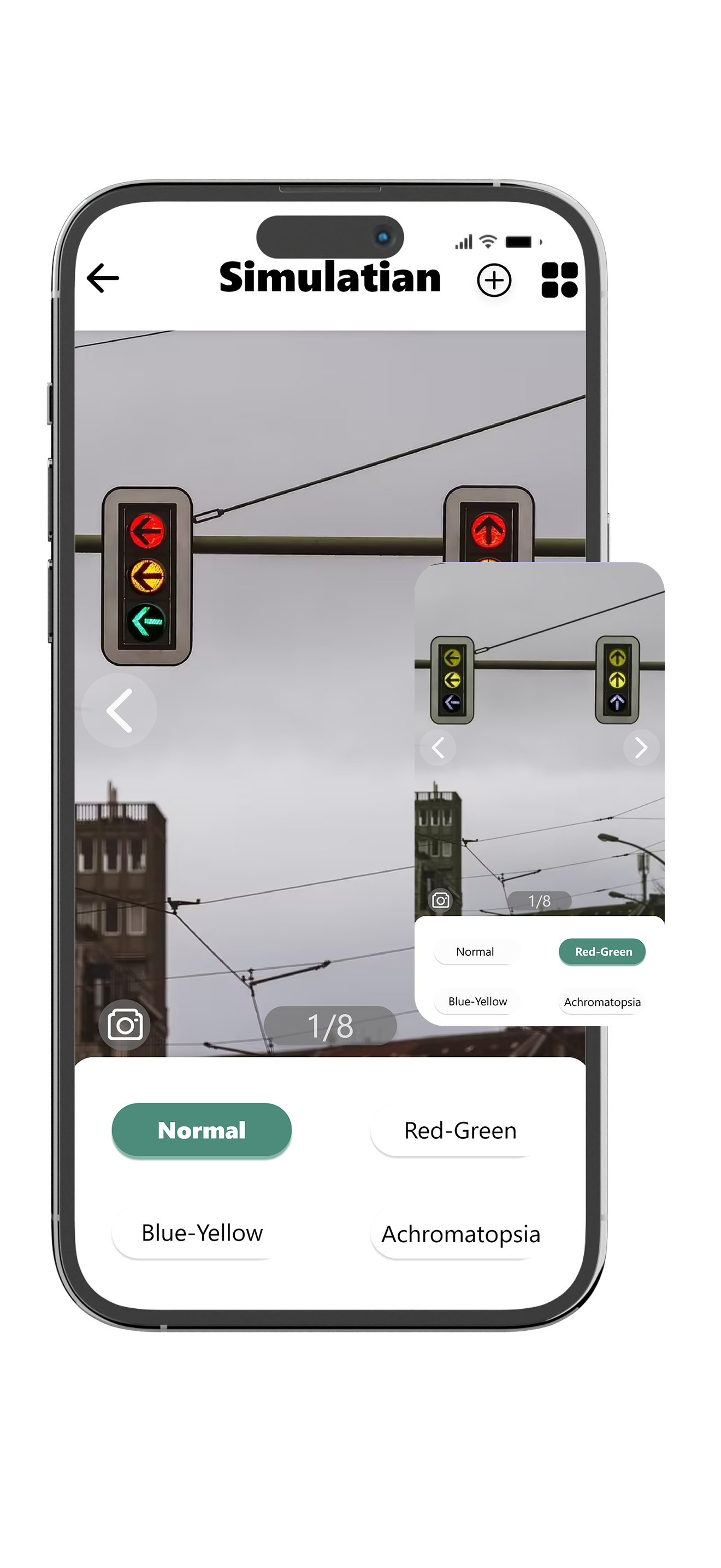 Multi-Visual Color Blind Simulation Experience