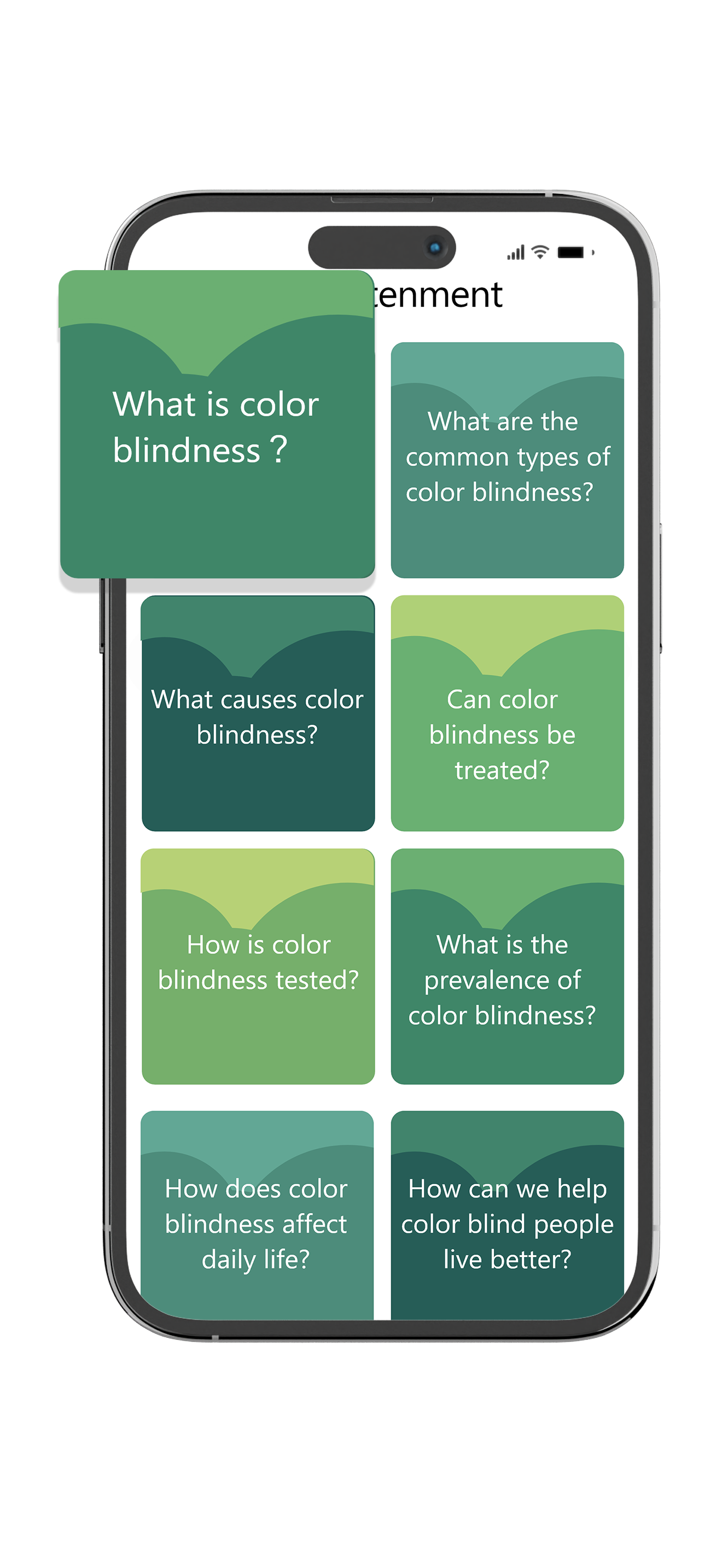 Real-time Color Blind Camera Filter
